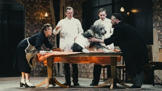 TheatreHD: Собачье сердце