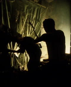 Апокалипсис сегодня